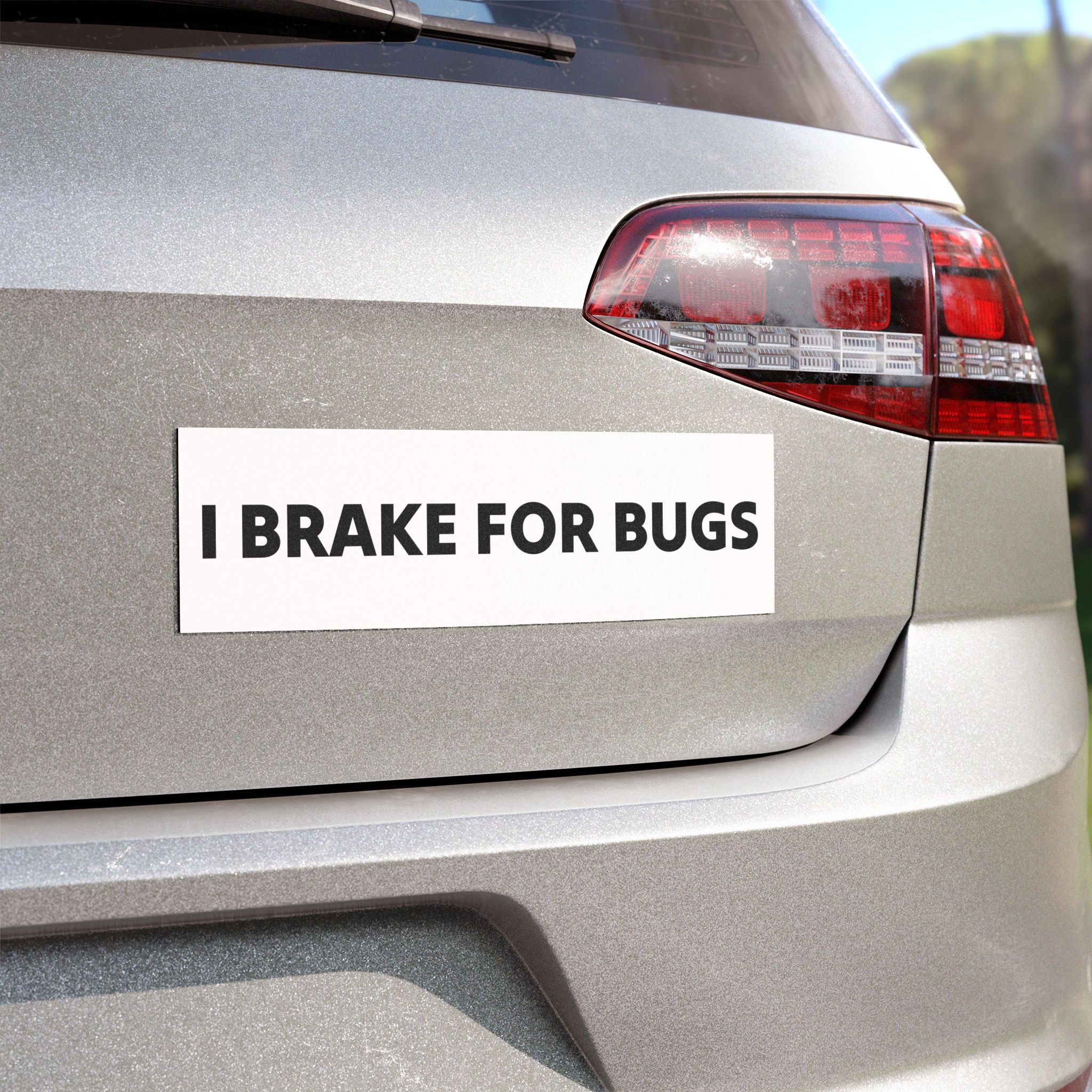 I BRAKE FOR BUGS CAR MAGNET